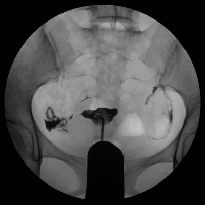 80期_页面_2_图像_0003.jpg 80期_页面_2_图像_0003.jpg