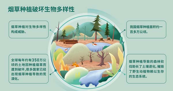 图片8.jpg