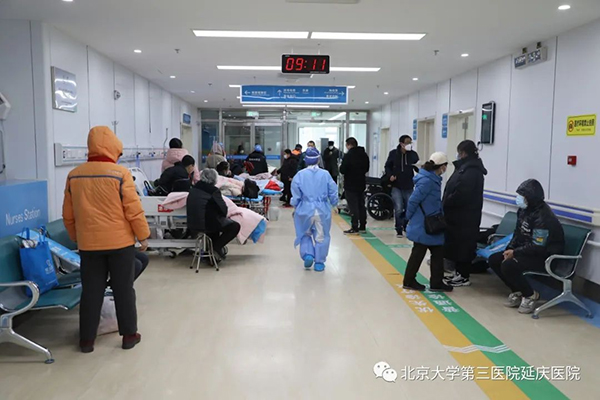 图片41.jpg
