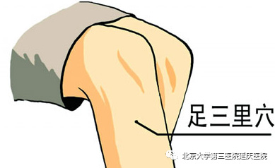图片33.jpg