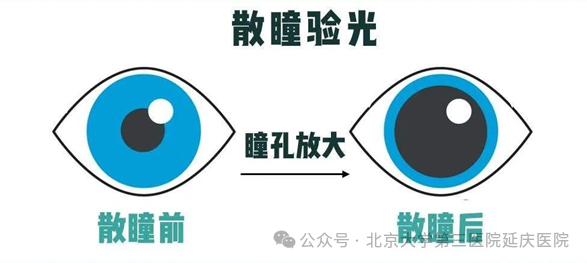 图片20.jpg