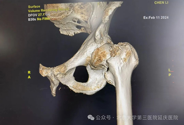 图片10.jpg
