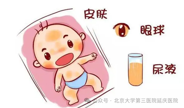 图片13.jpg