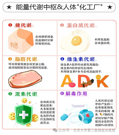 图片16.jpg