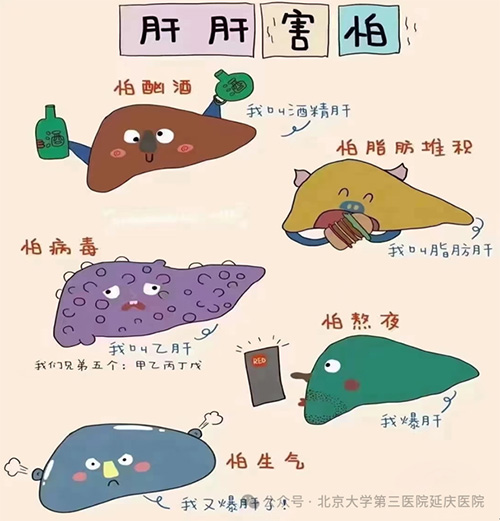 图片18.jpg