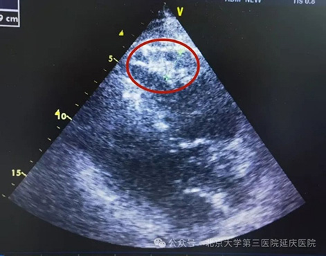 图片15.jpg