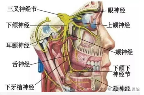 图片11.jpg