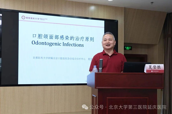 图片-6.jpg