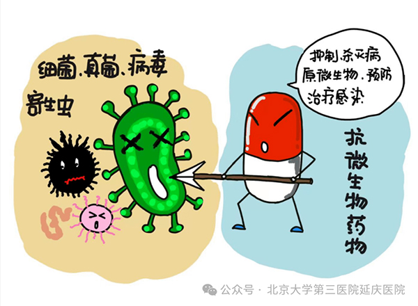 图片12.jpg 图片12.jpg