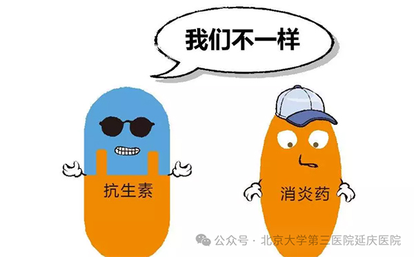 图片13.jpg 图片13.jpg