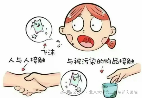 图片7.jpg 图片7.jpg