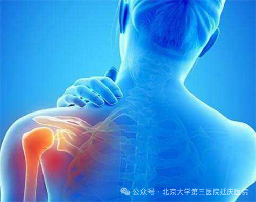 图片7.jpg 图片7.jpg