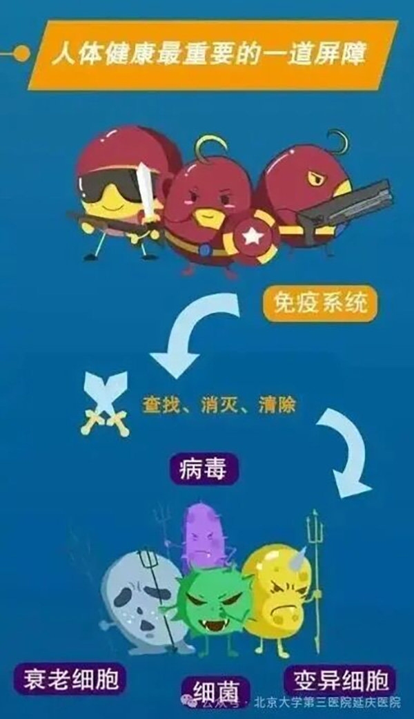 图片 3.jpg 图片 3.jpg