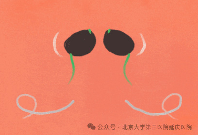 图片15.jpg 图片15.jpg