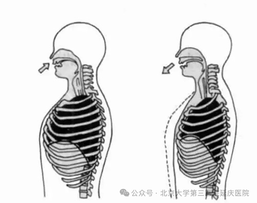 图片16.jpg 图片16.jpg