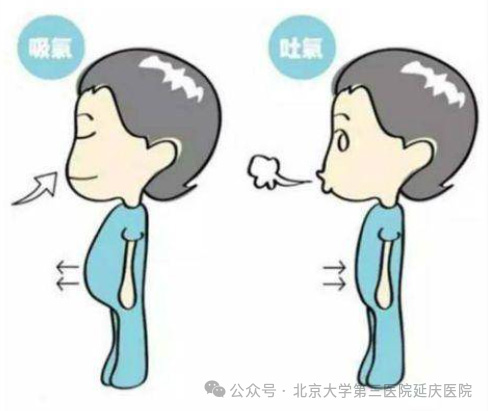 图片21.jpg 图片21.jpg