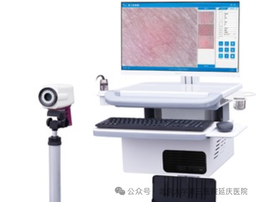 图片25.jpg 图片25.jpg