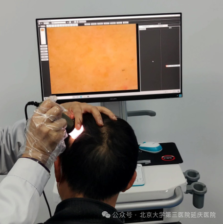 图片27.jpg 图片27.jpg