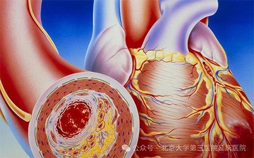 图片8.jpg 图片8.jpg