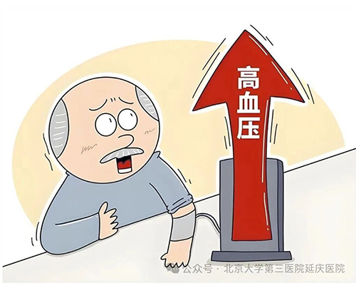 图片14.jpg 图片14.jpg