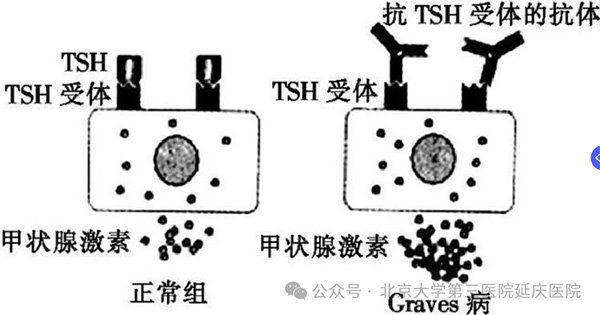 图片9.jpg 图片9.jpg