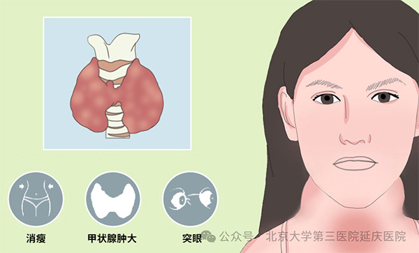 图片10.jpg 图片10.jpg