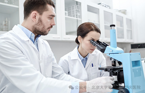 图片11.jpg 图片11.jpg