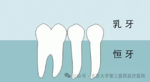 图片20.jpg 图片20.jpg