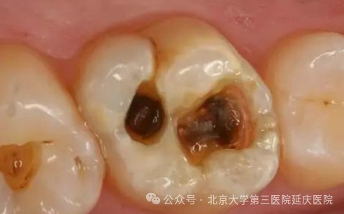 图片24.jpg 图片24.jpg