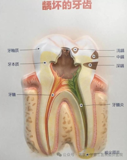图片26.jpg 图片26.jpg