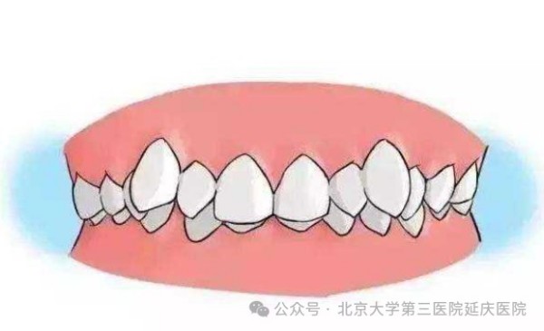 图片28.jpg 图片28.jpg