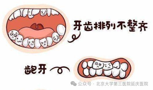 图片29.jpg 图片29.jpg