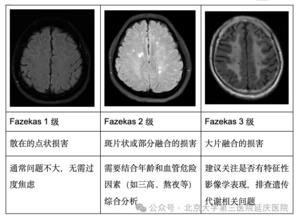 图片3.jpg 图片3.jpg