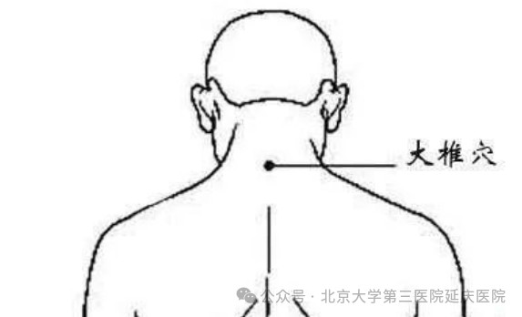 图片15.jpg 图片15.jpg