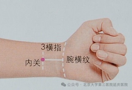 图片17.jpg 图片17.jpg