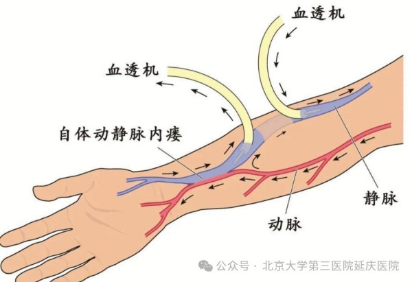 图片12.jpg 图片12.jpg