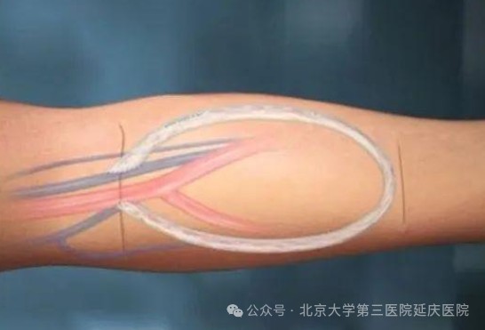 图片13.jpg 图片13.jpg