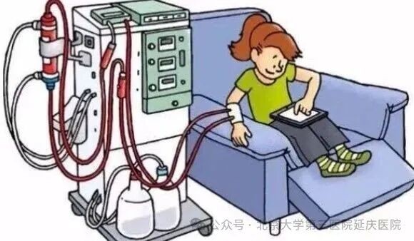 图片14.jpg 图片14.jpg