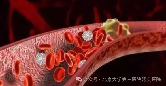 图片13.jpg 图片13.jpg