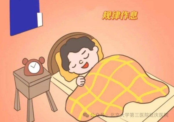 图片15.jpg 图片15.jpg