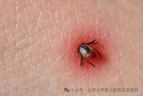 图片36.jpg 图片36.jpg