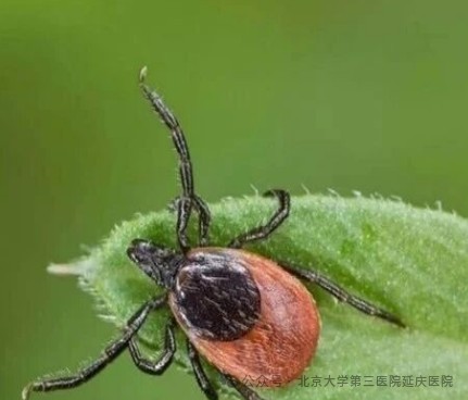 图片37.jpg 图片37.jpg