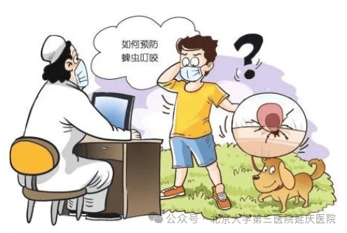 图片40.jpg 图片40.jpg
