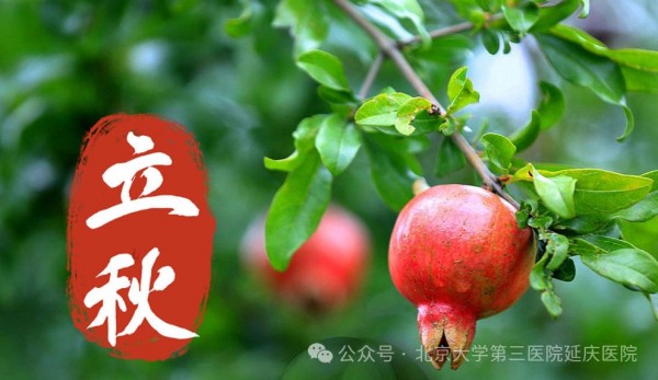 图片22.jpg 图片22.jpg