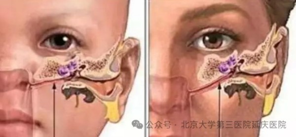 图片25.jpg 图片25.jpg