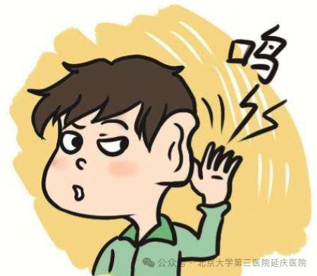 图片27.jpg 图片27.jpg