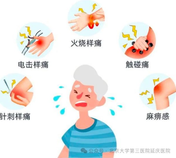 图片 3.jpg 图片 3.jpg