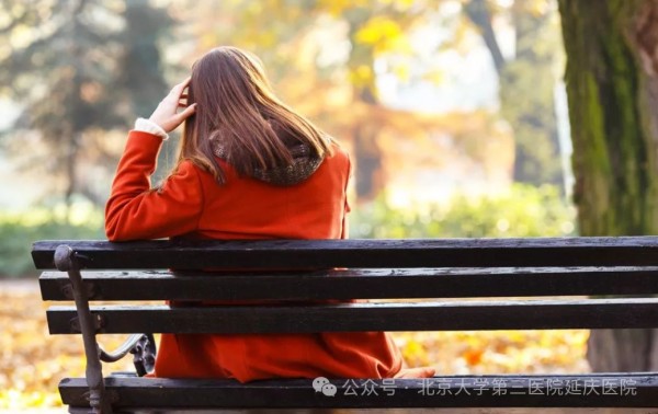 图片27.jpg 图片27.jpg