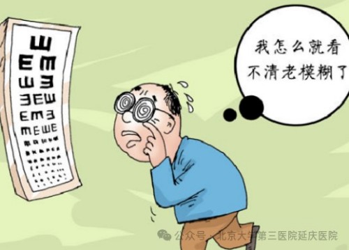 图片9.jpg 图片9.jpg