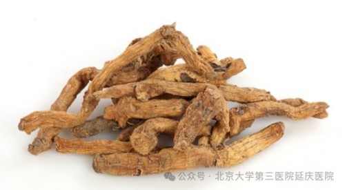 图片21.jpg
